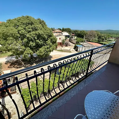 Maxi 게스트하우스 발