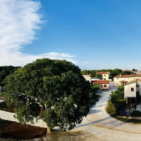 Casa de hóspedes Maxi